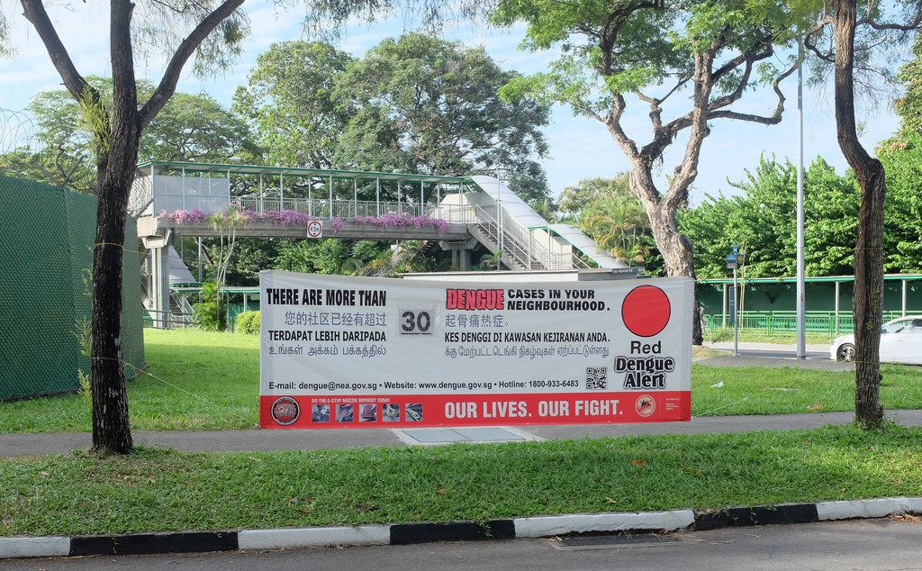 Dengue alert banner