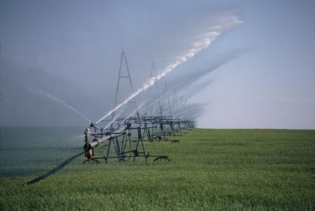 irrigation
