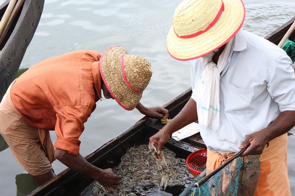 fishermen-in-india-1087726_1920