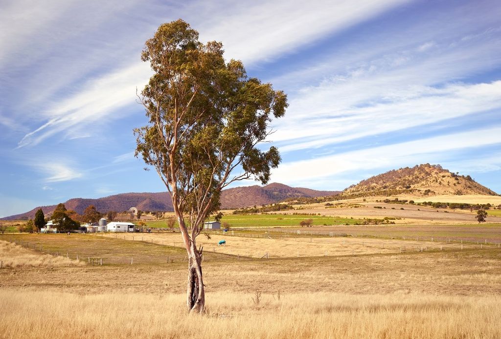 Southern Downs | Warwick Photos