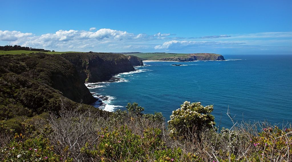 Mornington-peninsula-cape-shank