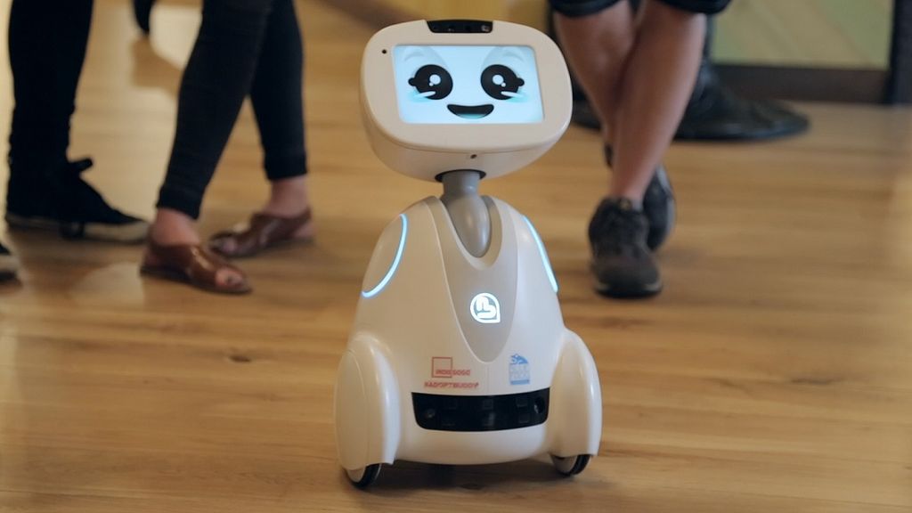 Buddy-robot