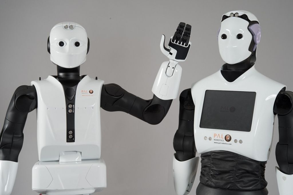 reem robot