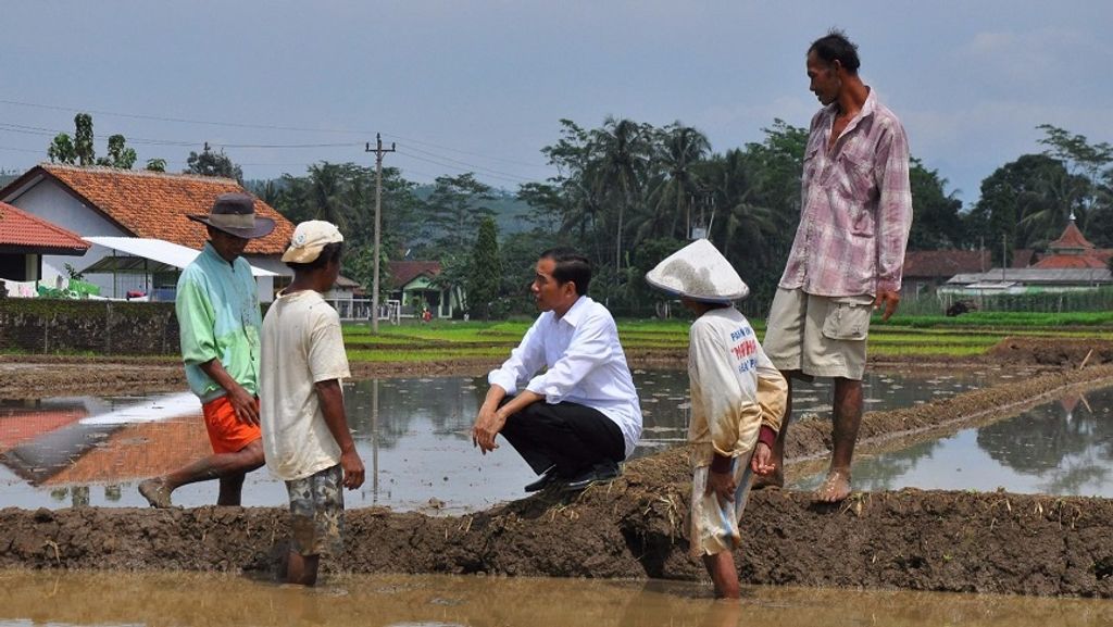 jokowidodo
