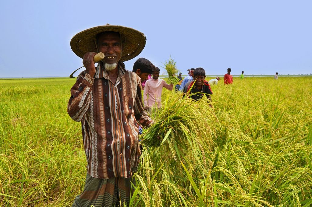 Farmer_of_Bangladesh