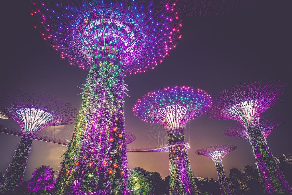 Singapore supertrees