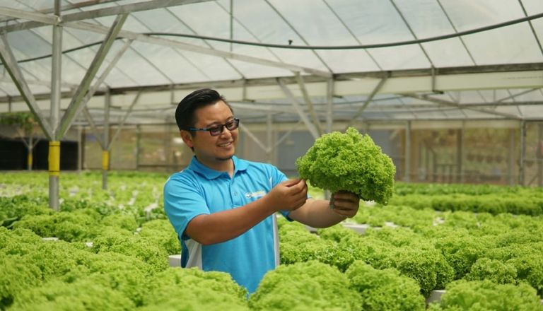 Kundasang-Aquafarm-.jpg