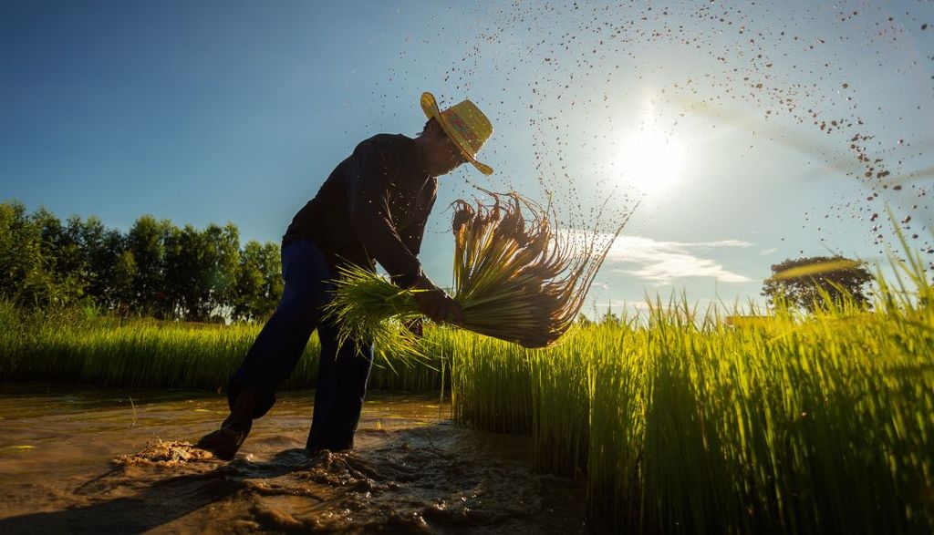 Wordpress-featured-images-13.jpg
