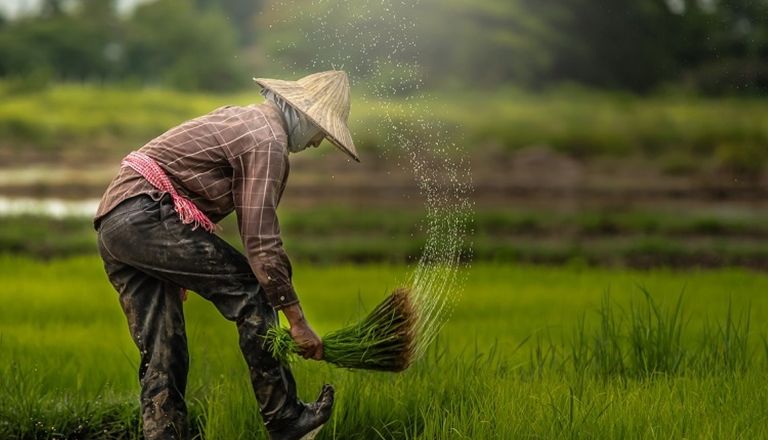 mdec-agtech.jpg